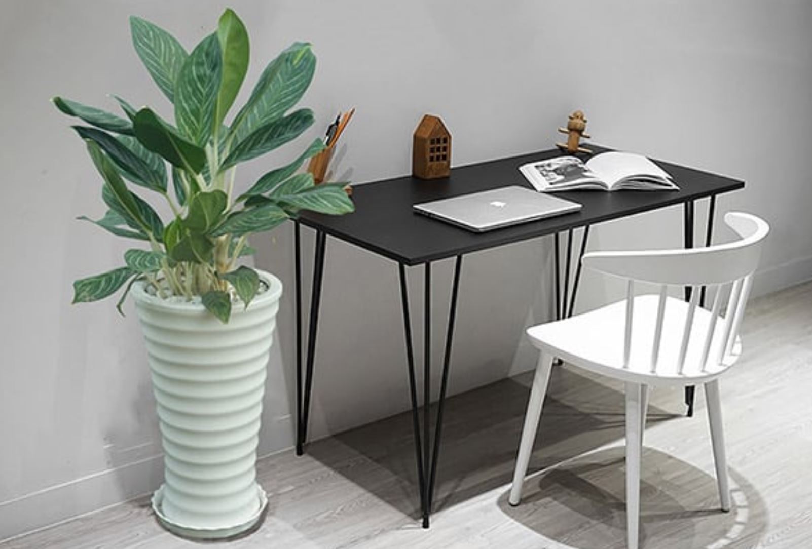 Đặc điểm của cây Bạch Mã Hoàng Tử