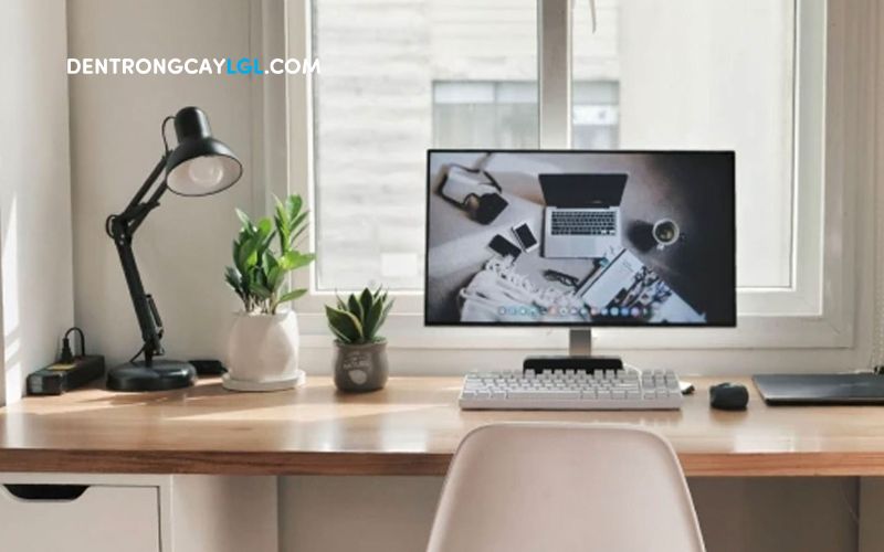 Bộ chân đèn trồng cây để bàn Pixar giúp trồng chậu cây để bàn tiện lợi và đẹp mắt