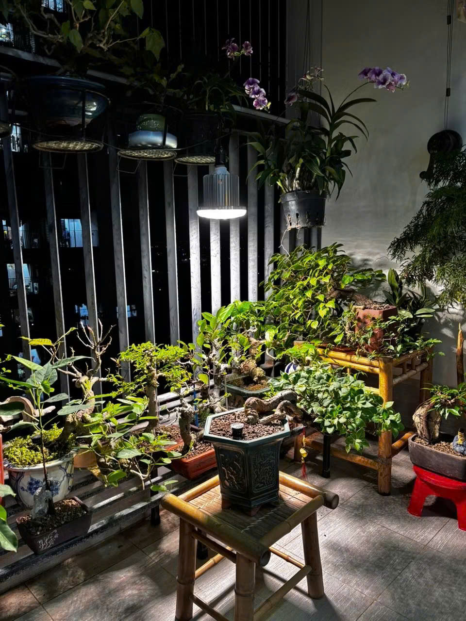 ứng dụng đèn trồng cây khi trồng cây muội hồng