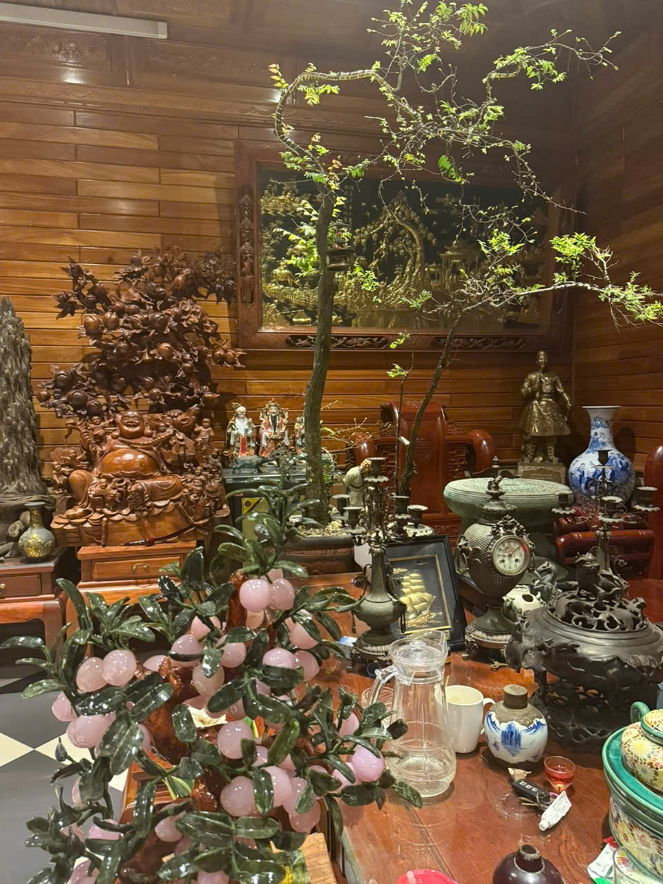 cây muội hồng có dễ sống không