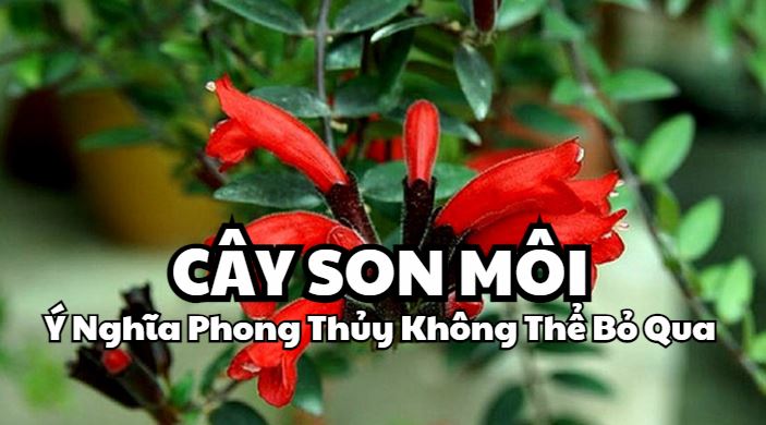 Cây Son Môi - Ý Nghĩa Phong Thủy Không Thể Bỏ Qua