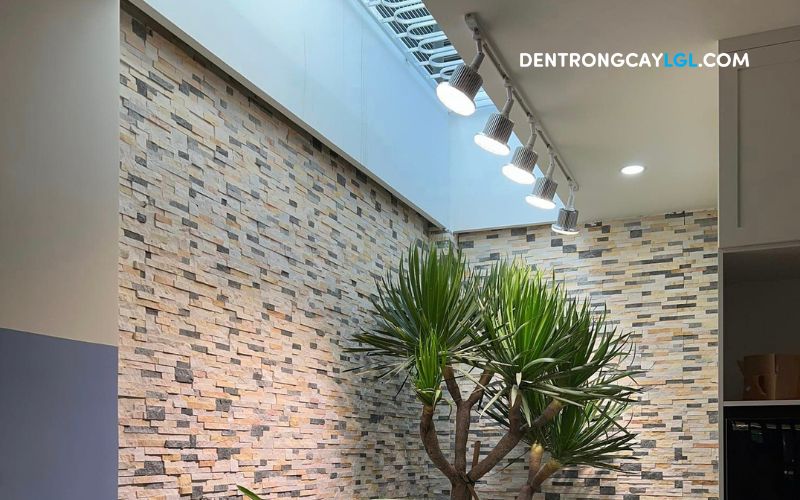 Đầu nối thanh ray đèn trồng cây giúp không gian nội thất tăng tính thẩm mỹ