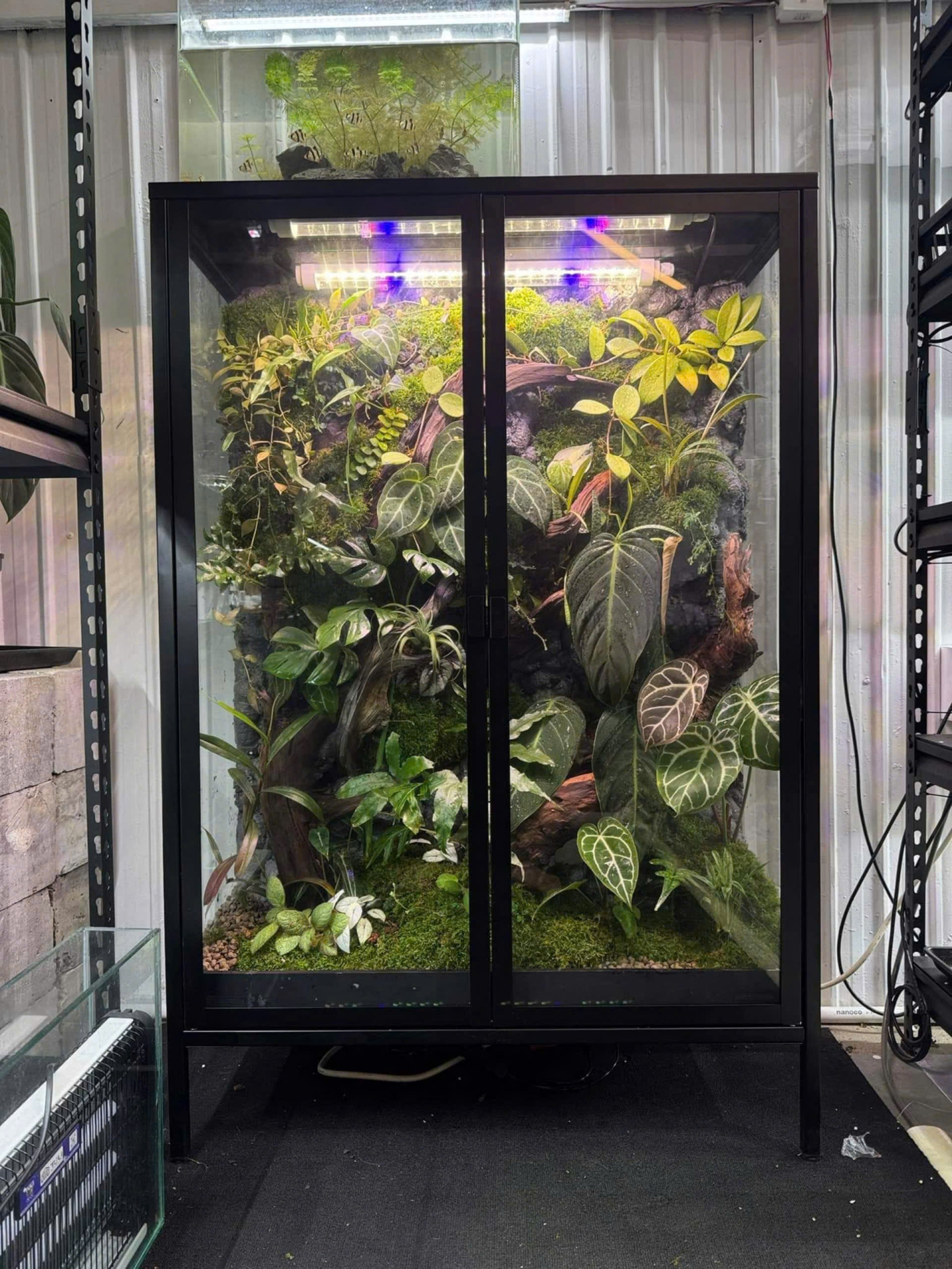 Tủ gắn 2 đèn tuýp quang hợp