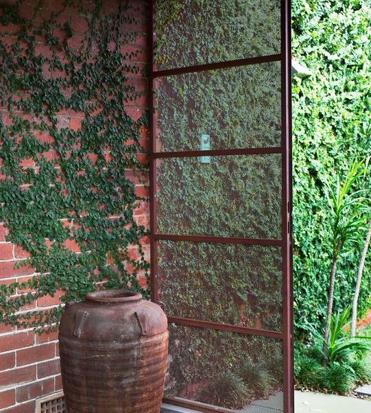 Bức tường ấn tượng từ Cây Vẩy Ốc