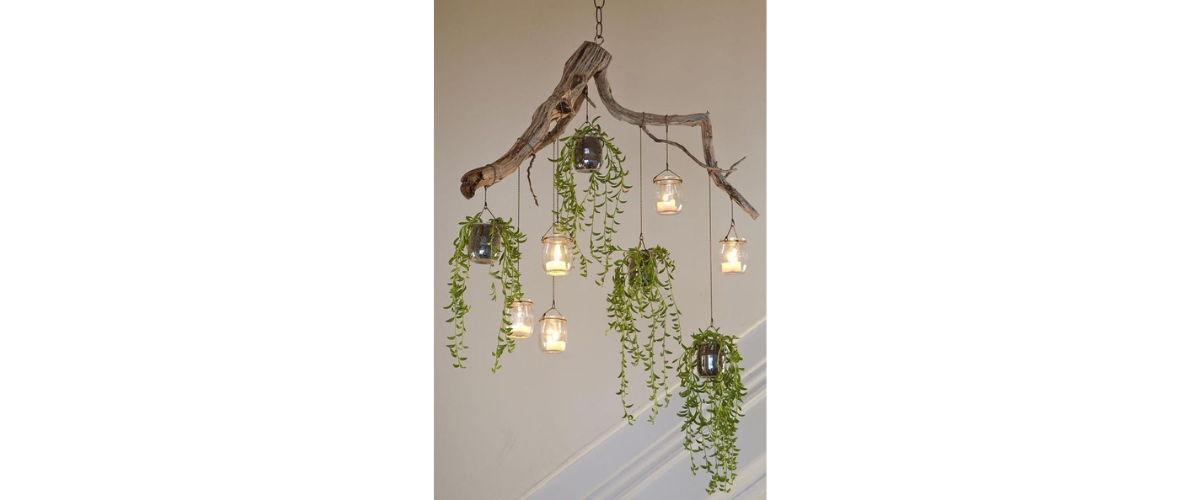 Cách trang trí cây cảnh trong nhà - Kết hợp với đồ vật