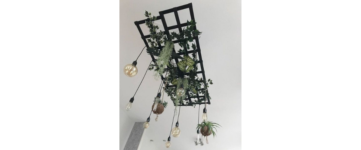Cách trang trí cây cảnh trong nhà - Kết hợp với đồ vật