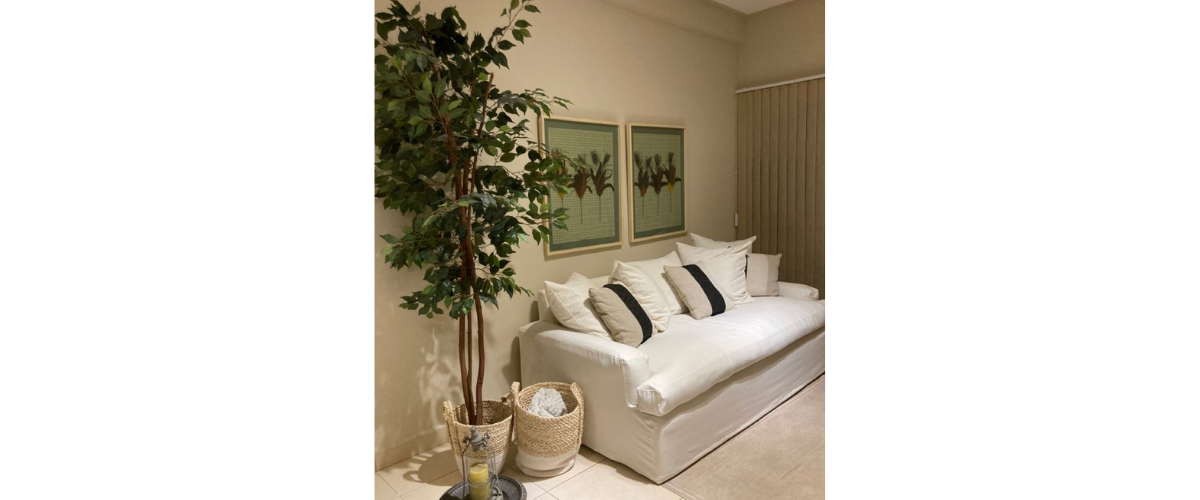 Trang trí cây cảnh lớn bên cạnh sofa