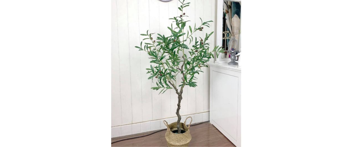 Cây cảnh nhựa để trong nhà - Cây oliu giả