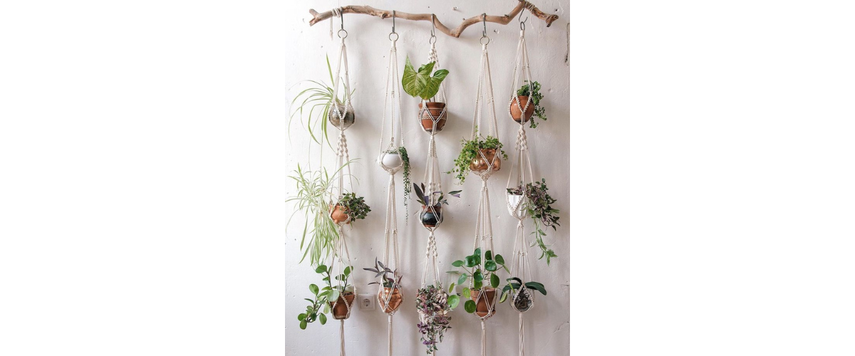 Cách trang trí cây cảnh trong nhà - Thắt dây Macrame treo chậu cây