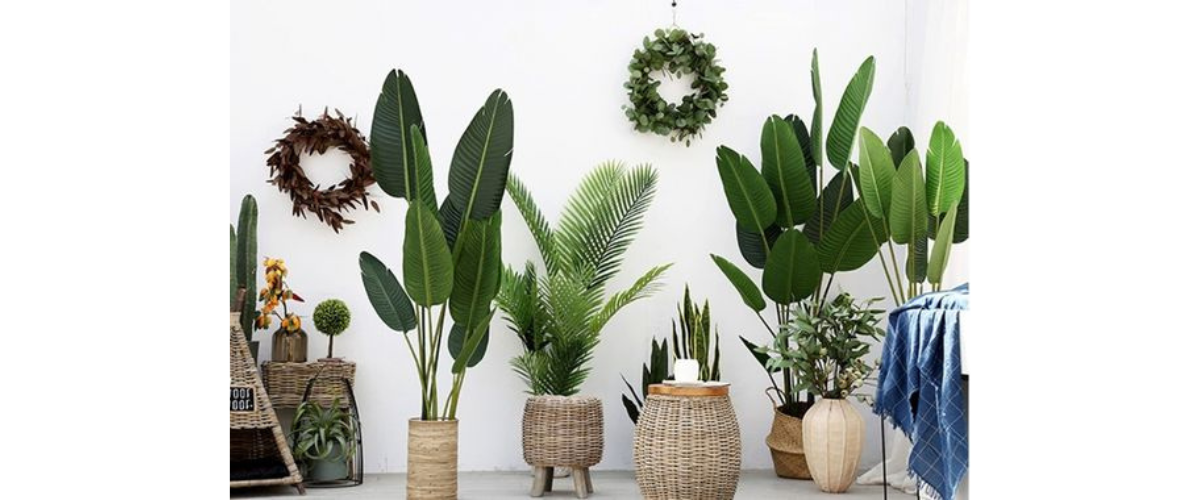 Một số lưu ý khi trang trí cây cảnh nhựa để trong nhà