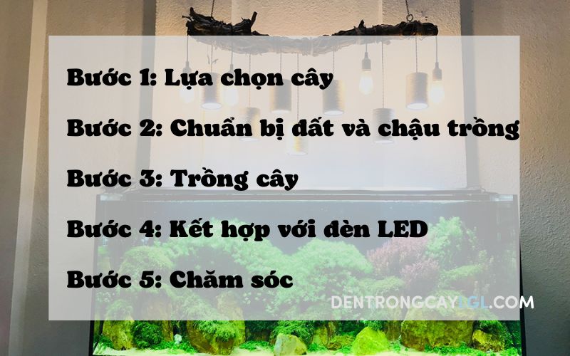 Hướng dẫn c&aacute;ch trồng c&acirc;y thuỷ sinh l&aacute; đỏ kết hợp với đ&egrave;n led trong hồ c&aacute; cảnh 