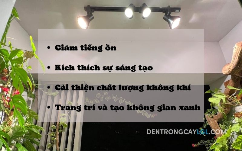 LỢI &Iacute;CH CỦA C Y D Y LEO TRONG NH&Agrave;