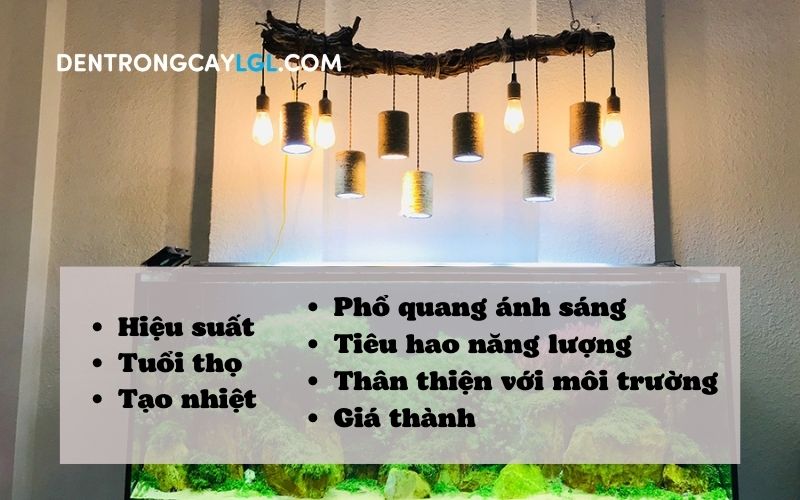 So sánh và lựa chọn loại đèn phù hợp cho mục đích sử dụng.