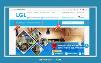 Thông tin chính sách công ty TNHH Sản Xuất Thương Mại LGL