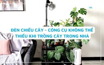 Đèn Chiếu Cây Trong Nhà - Công Cụ Trồng Cây Bạn Cần Có