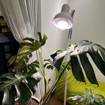 Đèn Trồng Cây 20W