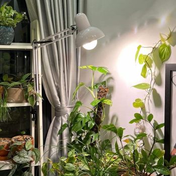 Đèn Trồng Cây 20W