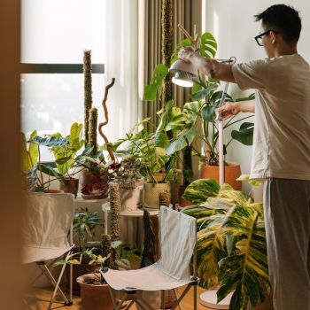 Đèn Trồng Cây 30W