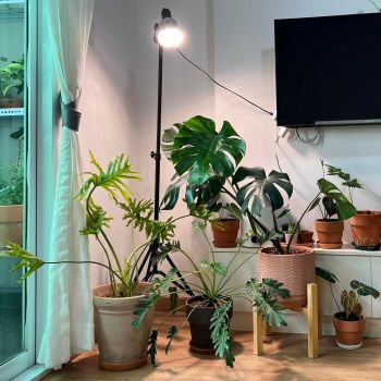 Đèn Trồng Cây 30W