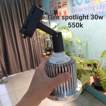 Đèn Trồng Cây Spotlight 30W