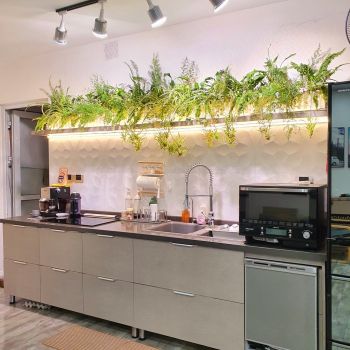 Đèn Trồng Cây Spotlight 30W