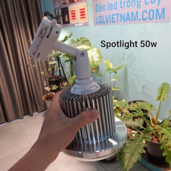 Đèn Trồng Cây Spotlight 50W
