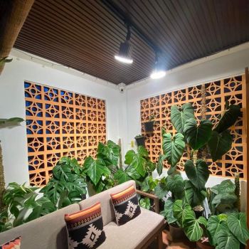 Đèn Trồng Cây Spotlight 50W