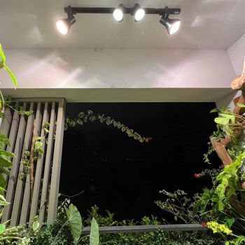 Đèn Trồng Cây Spotlight Thân Dài 20W