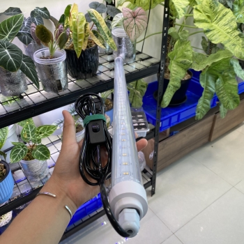 Đèn Led Tuýp Quang Hợp LGL 1m